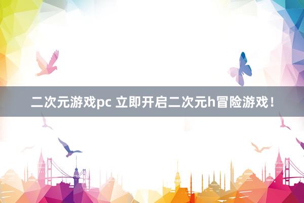 二次元游戏pc 立即开启二次元h冒险游戏！