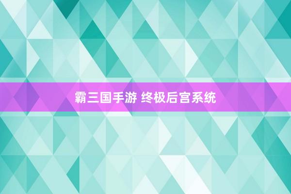 霸三国手游 终极后宫系统