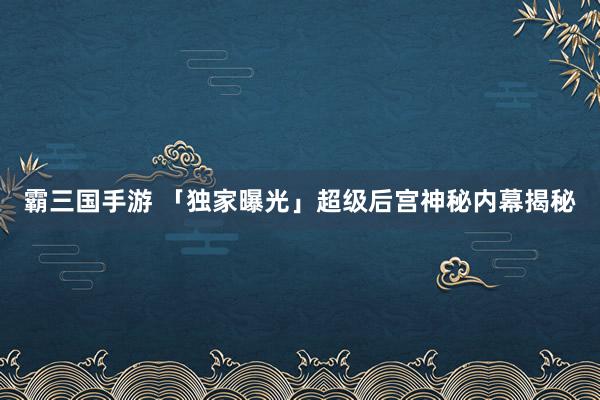 霸三国手游 「独家曝光」超级后宫神秘内幕揭秘