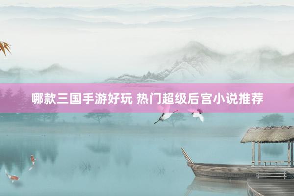 哪款三国手游好玩 热门超级后宫小说推荐