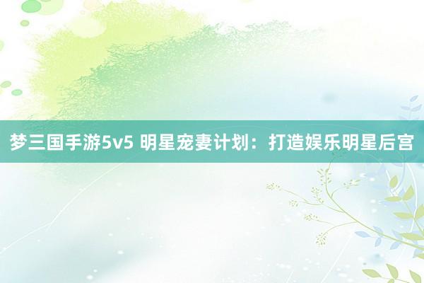 梦三国手游5v5 明星宠妻计划：打造娱乐明星后宫