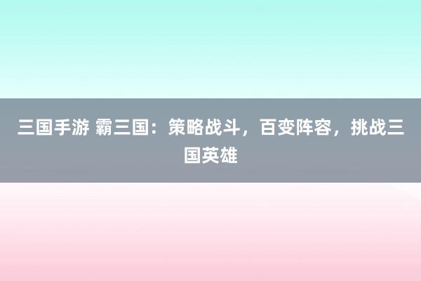 三国手游 霸三国：策略战斗，百变阵容，挑战三国英雄